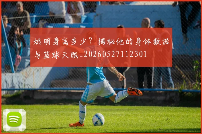 姚明身高多少？揭秘他的身体数据与篮球天赋_20260527112301
