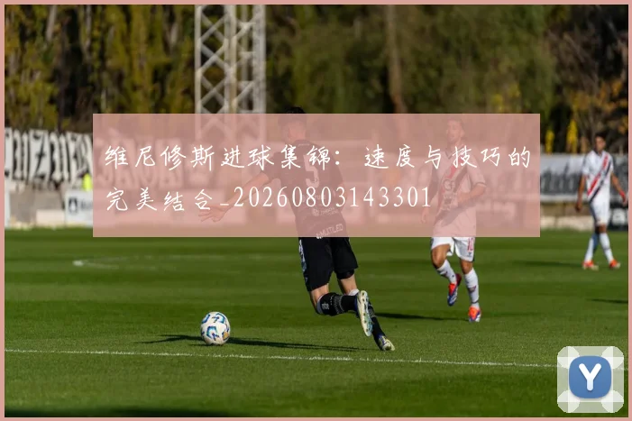维尼修斯进球集锦:速度与技巧的完美结合_20260803143301
