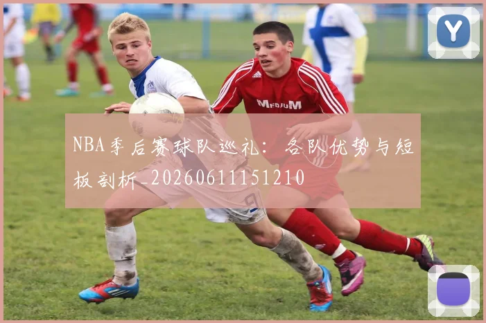 NBA季后赛球队巡礼：各队优势与短板剖析_20260611151210