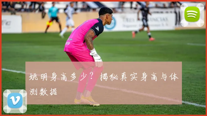 姚明身高多少?揭秘真实身高与体测数据